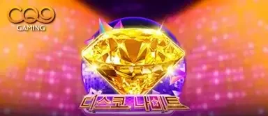 디스코 나이트