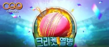 크리켓 피버