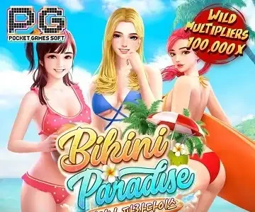 비키니 파라다이스