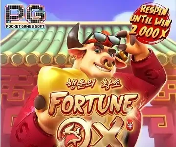 포춘 OX