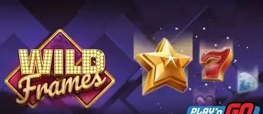 와일드 프레임