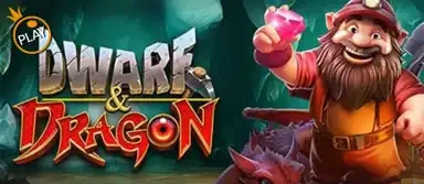 드워프 & 드래곤