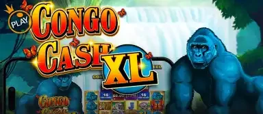 콩고 캐쉬 XL